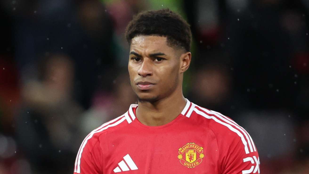 更多选择和 更多选择和