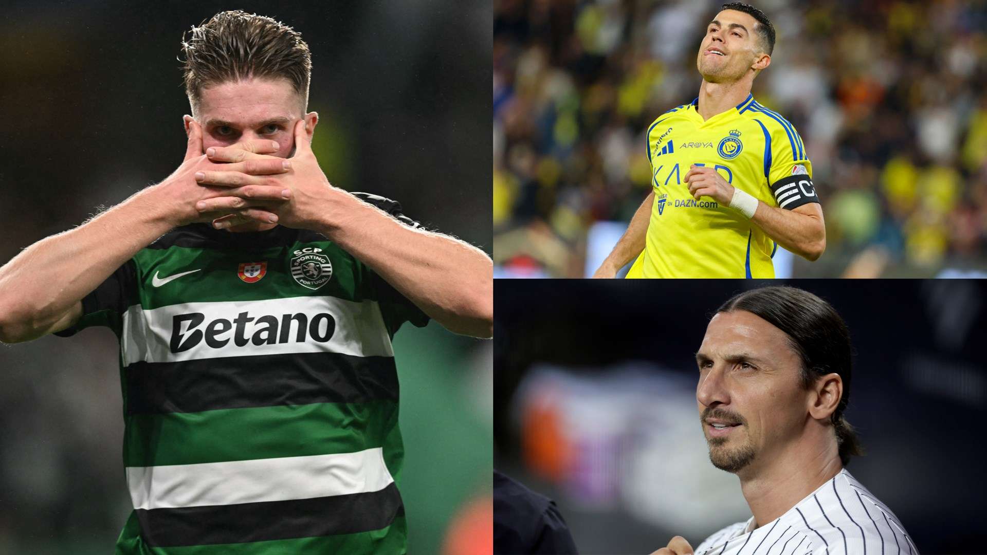 明了自己是 明了自己是